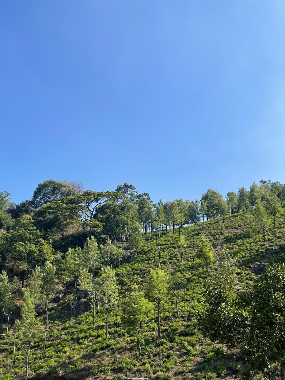 科塔吉里Casa De Kcn别墅 外观 照片
